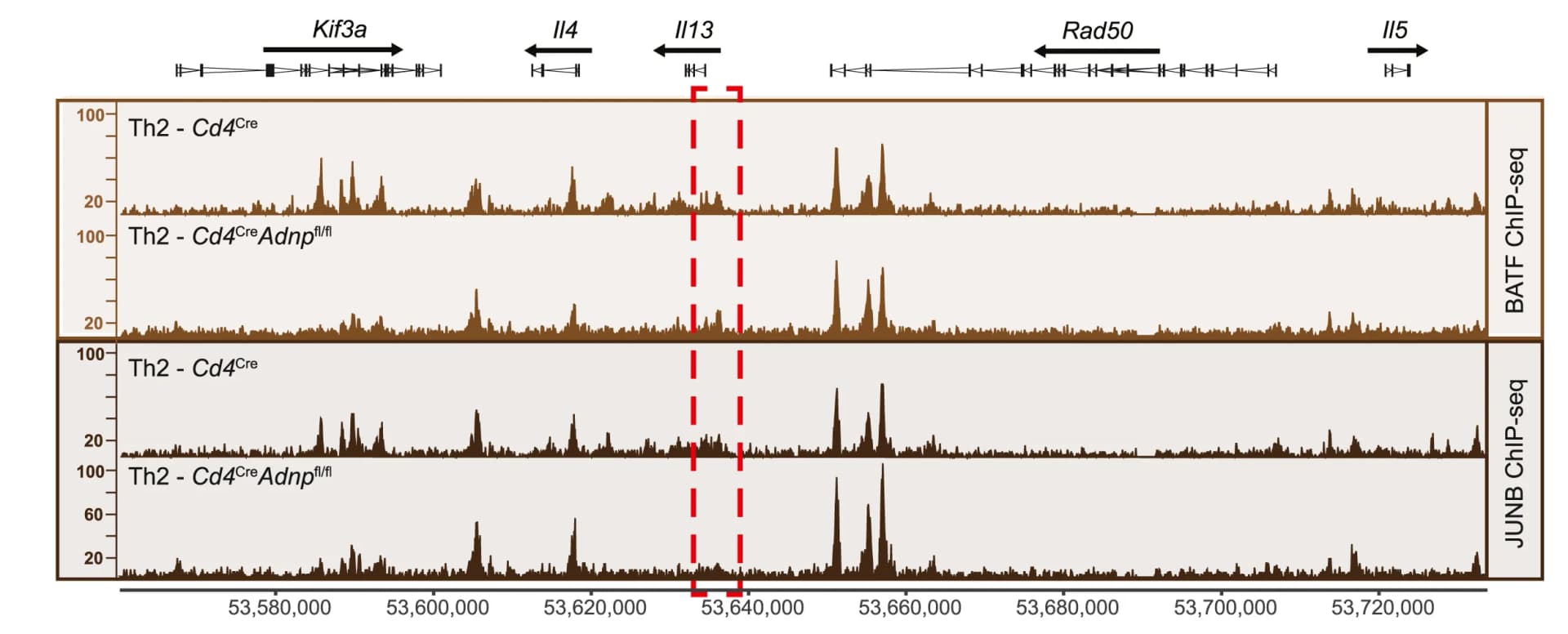 Open access visualization of Line Plot, BATF, JUNB, Th2 Cells, Cd4Cre Mice