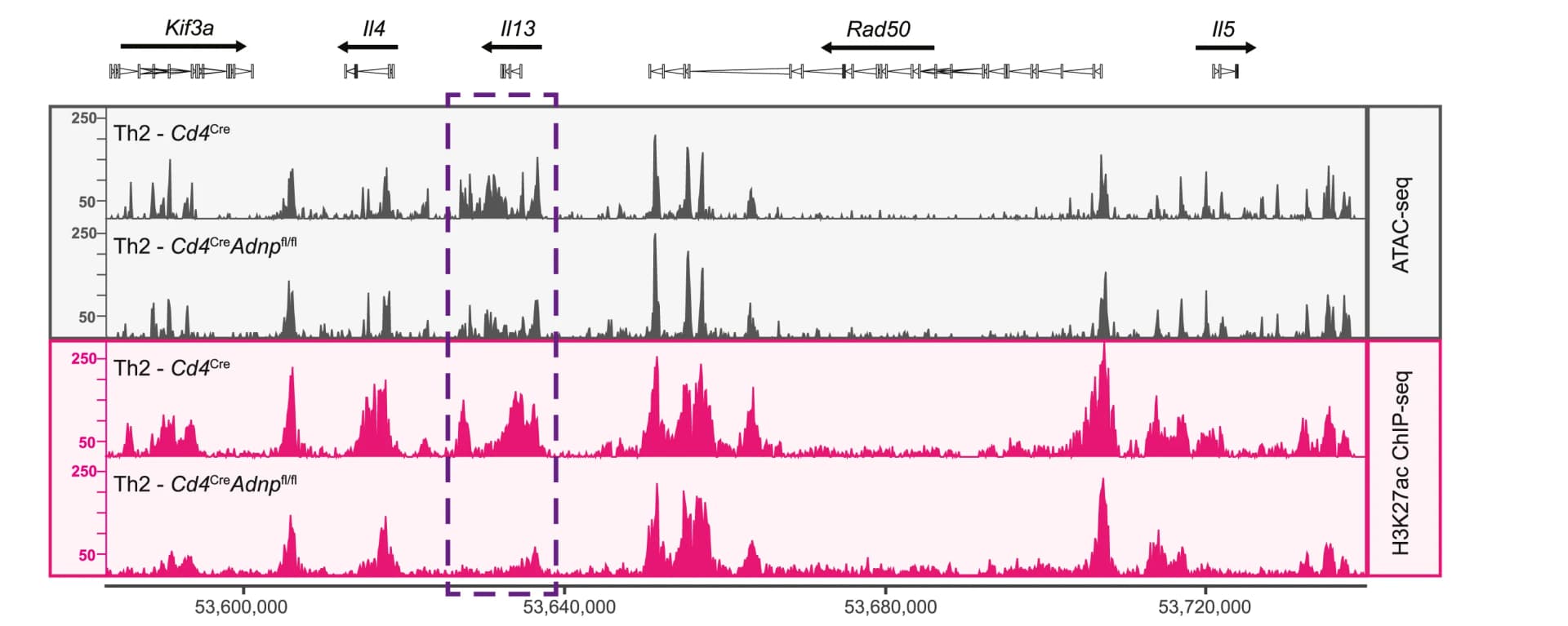Open access visualization of Line Plot, ATAC-seq, ChIP-seq, Th2 Cells, Cytokine Locus
