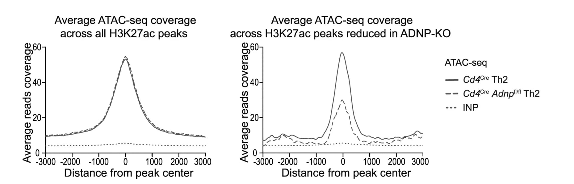 Open access visualization of Line Plot, ATAC-seq, H3K27ac Peaks, Th2 Cells