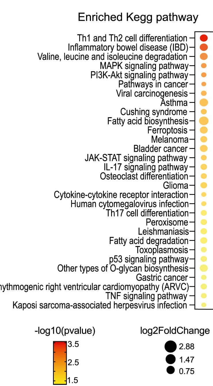 Open access visualization of Scatter Plot, Bubble Plot, KEGG Pathway Analysis, Genes, Genomic Regions