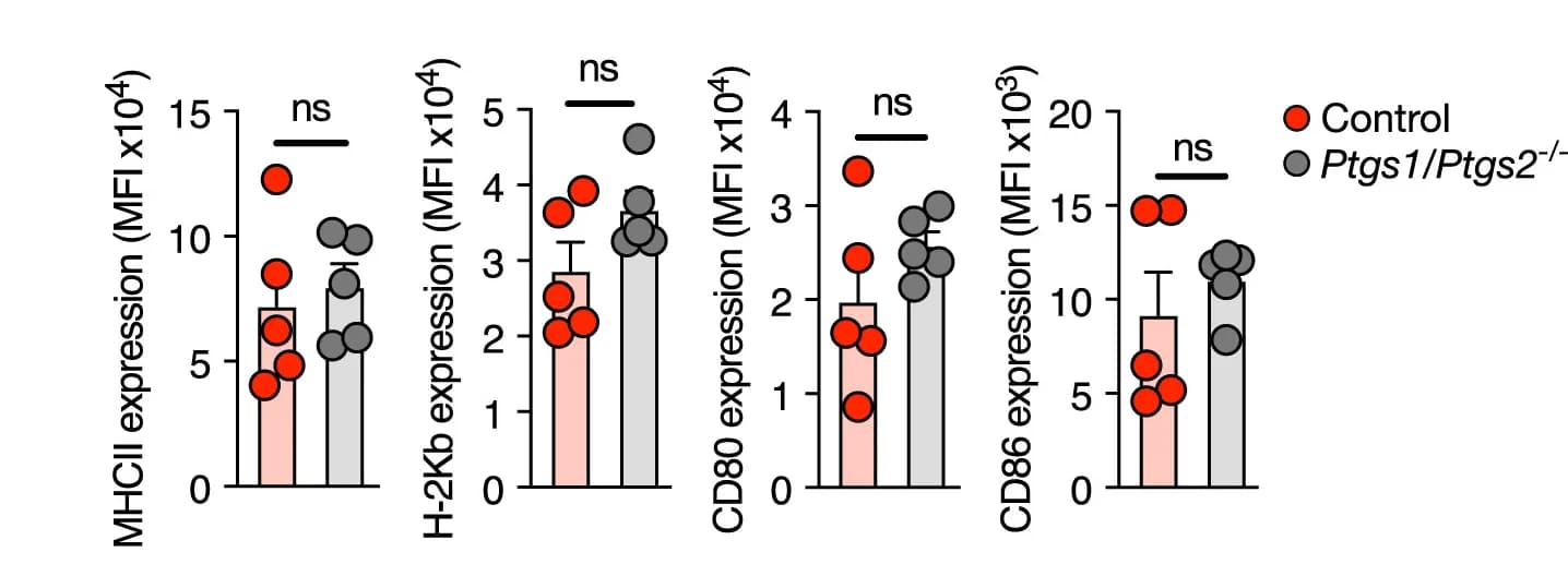Open access visualization of Bar Plot, Error Bars, Scatter Plot, MHCIIhiCD86+ cDC1s, Markers