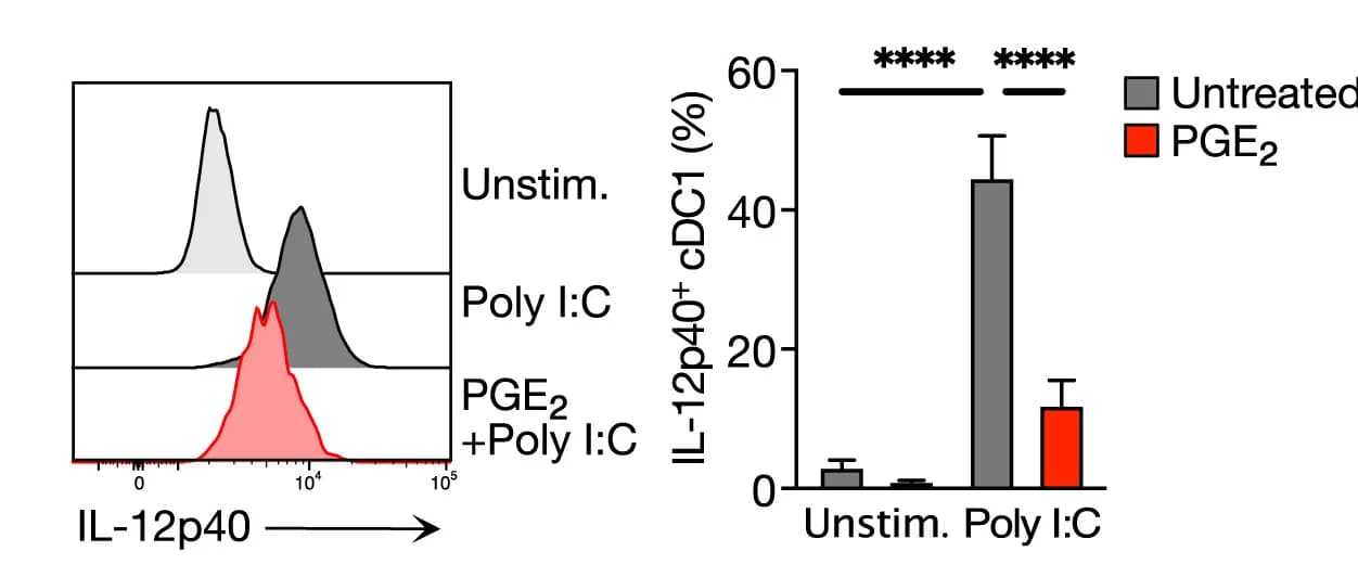 Open access visualization of Bar Plot, Error Bars, Density Plot, IL-12p40 Production, cDC1s