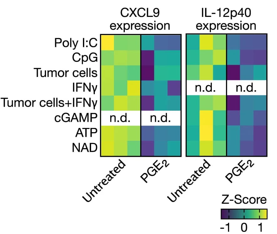 Open access visualization of Heatmap, PGE2 Effect, CXCL9 Expression, IL-12p40 Expression, cDC1s