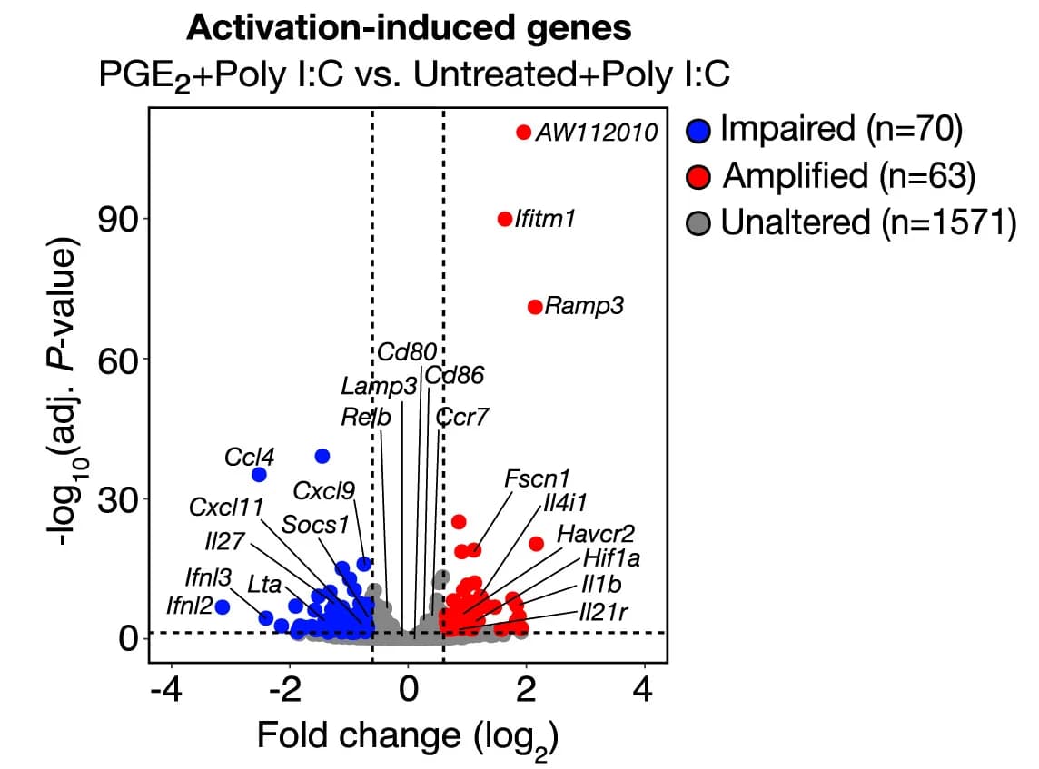 Open access visualization of Volcano Plot, PGE2 Effect, Activation-Induced Genes, cDC1s