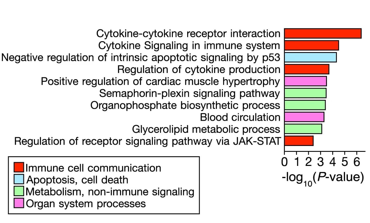 Open access visualization of Bar Plot, Pathway Analysis, Regulated Pathways, Gene Number
