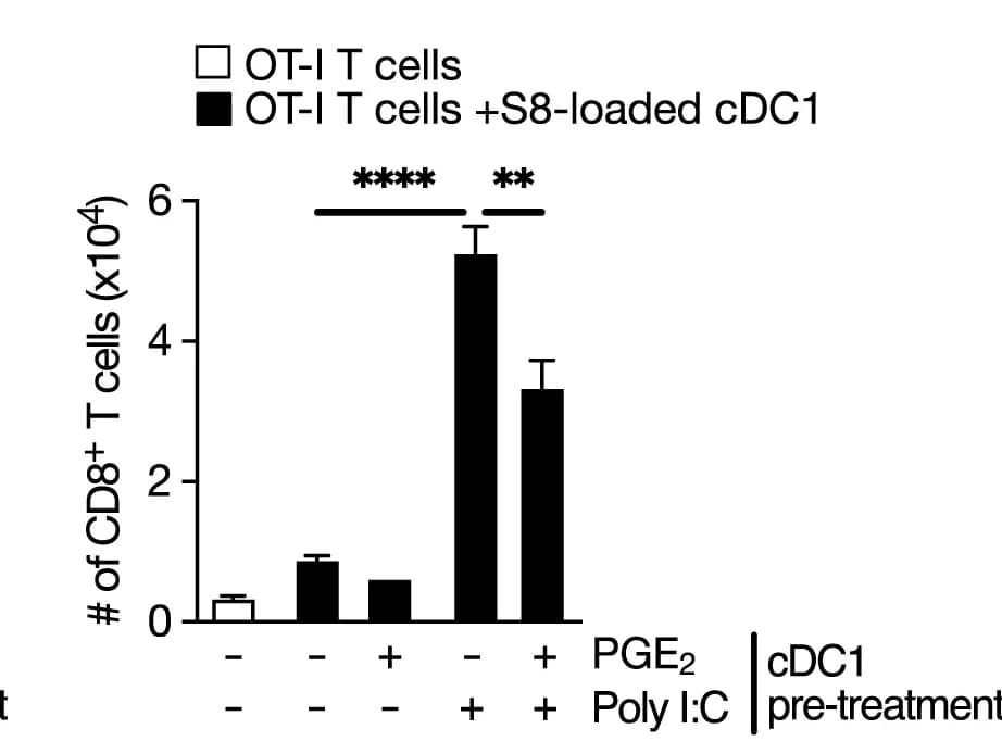 Open access visualization of Bar Plot, Error Bars, OT-I T Cells, Quantification, Co-culture