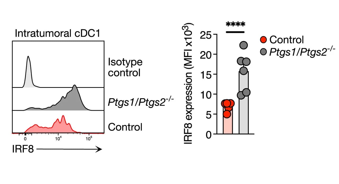 Open access visualization of Bar Plot, Scatter Plot, Error Bars, Flow Cytometry, IRF8