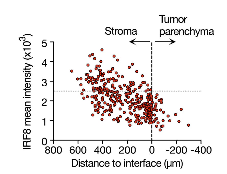 Open access visualization of Scatter Plot, Microscopy, IRF8, Gene Expression, cDC1