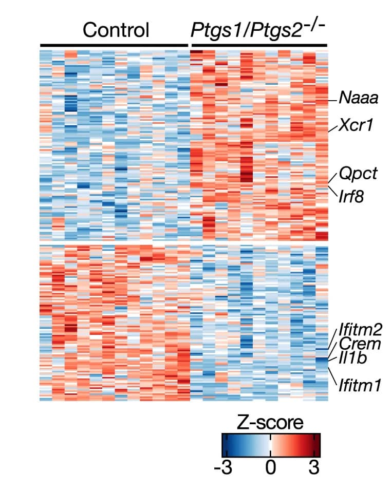 Open access visualization of Heatmap, Gene Expression, cDC1, Tumor, Smart-seq