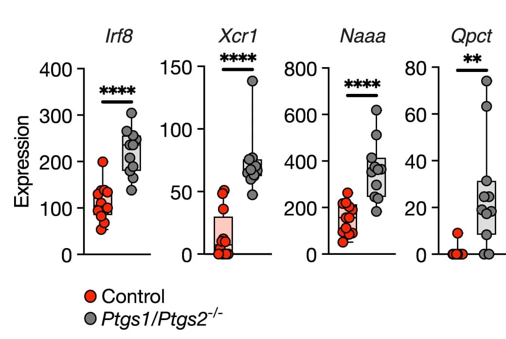 Open access visualization of Box Plot, Scatter Plot, Gene Expression, cDC1, Tumor