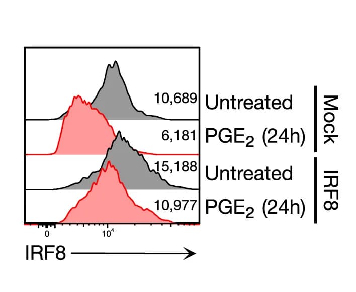 Open access visualization of Line Plot, Density Plot, IRF8, Gene Expression, cDC1
