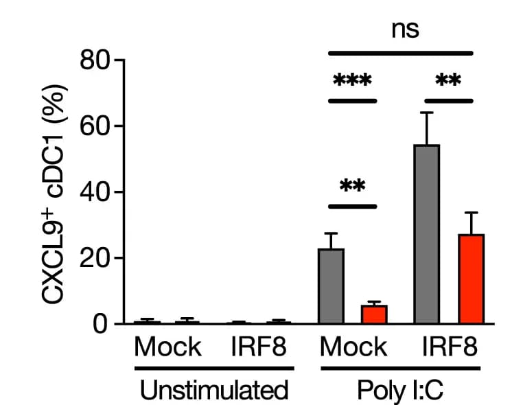 Open access visualization of Bar Plot, Error Bars, CXCL9, cDC1, PGE2