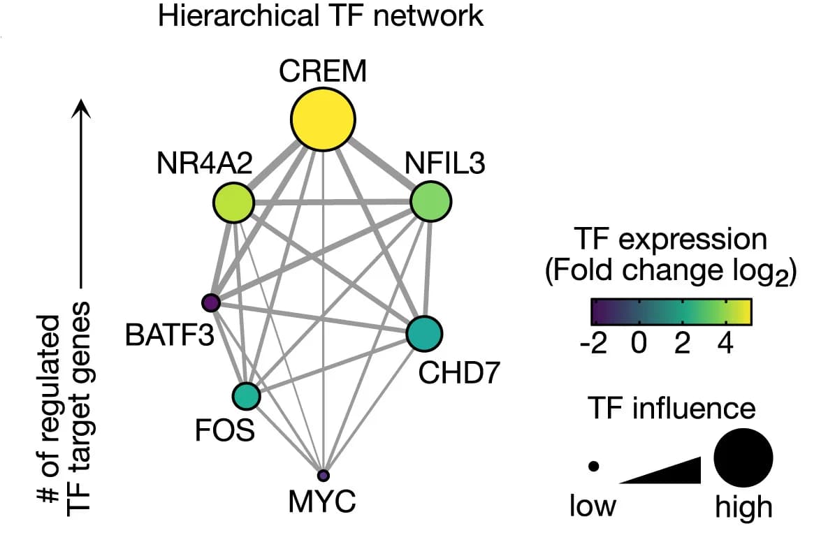Open access visualization of Network, Pathway, Scatter Plot, Heatmap, TF network
