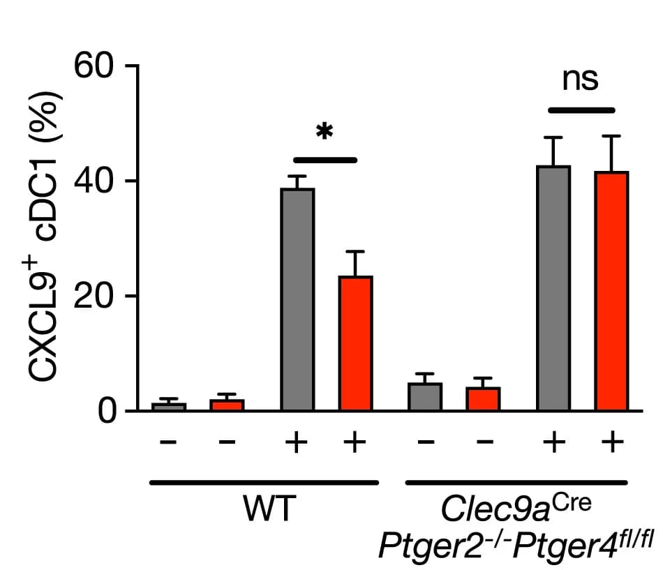 Open access visualization of Bar Plot, Error Bars, CXCL9 Production, Wild Type, Clec9aCrePtger2−/−Ptger4fl/flcDC1s