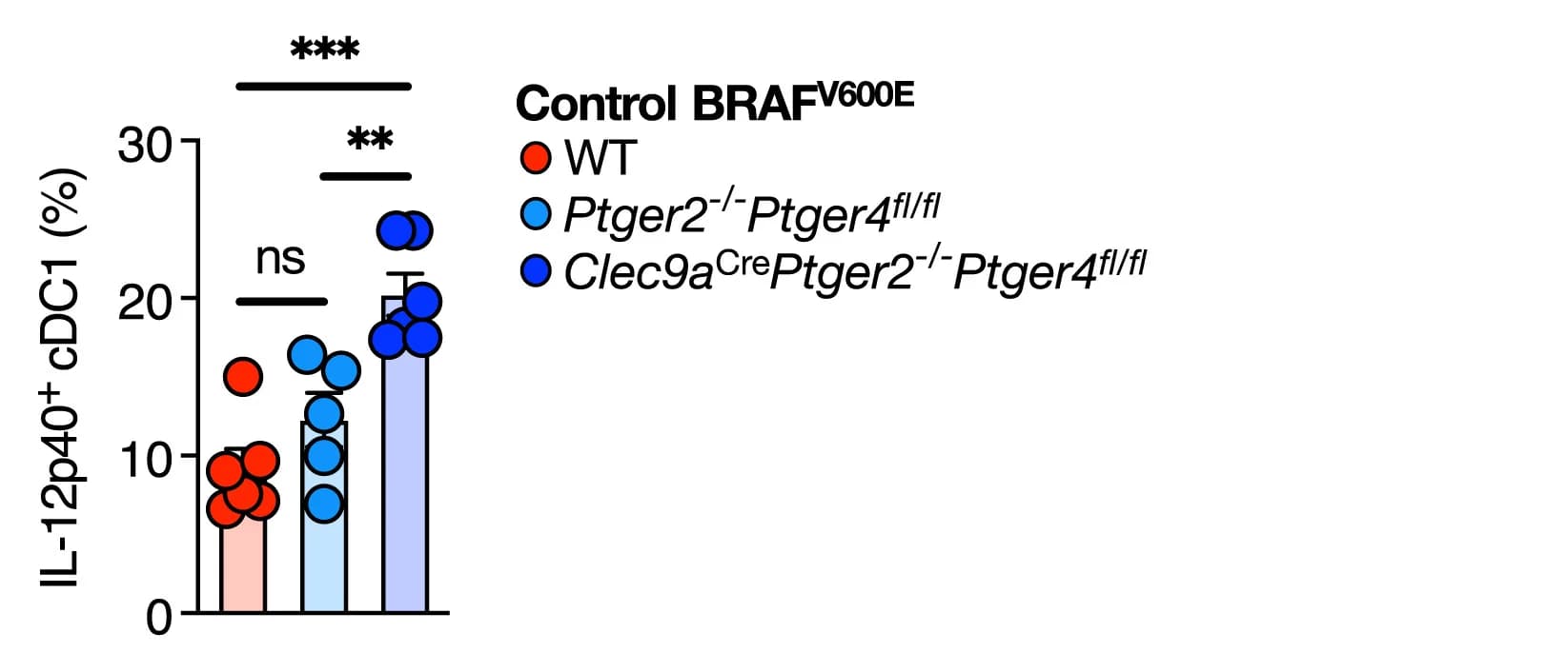 Open access visualization of Bar Plot, Scatter Plot, Error Bars, IL-12p40 Expression, Wild Type