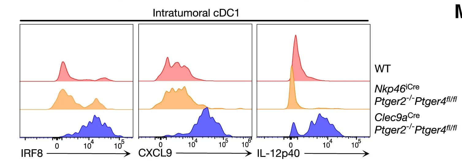 Open access visualization of Density Plot, Line Plot, IRF8 Expression, CXCL9 Expression, IL-12 Expression