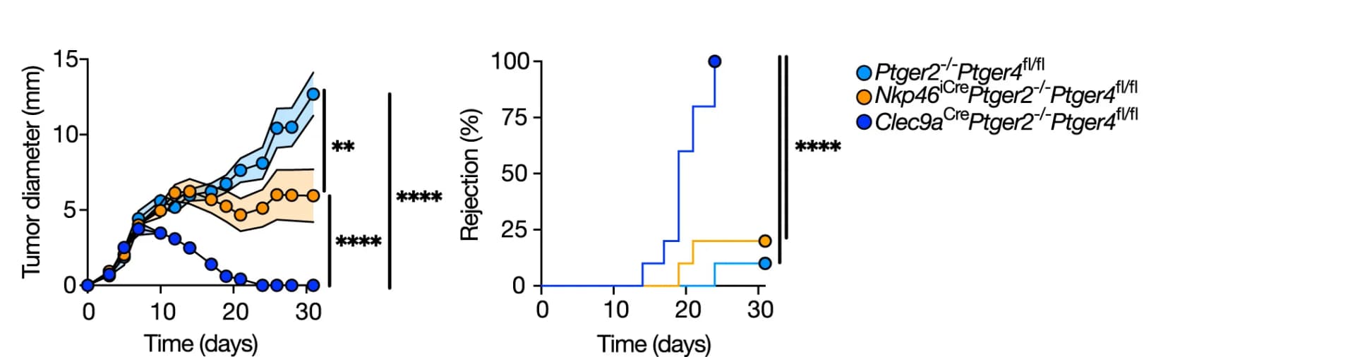 Open access visualization of Line Plot, Error Bars, Line Step, Survival Curve, Tumor Growth