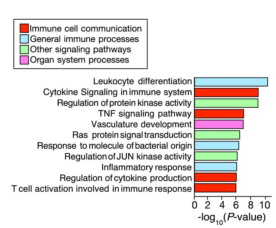 Open access visualization of Bar Plot, Pathways, poly I:C-activated cDC1s, PGE2