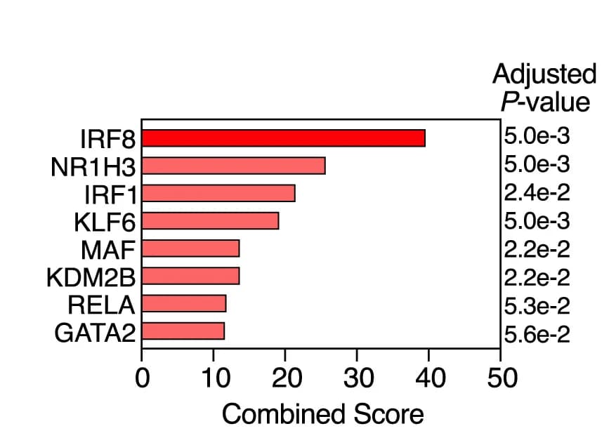 Open access visualization of Bar Plot, Upstream TF prediction, Genes, RNA-seq, poly I:C-stimulated cDC1