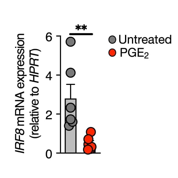 Open access visualization of Bar Plot, Error Bars, Scatter Plot, Human cDC1s, PGE2