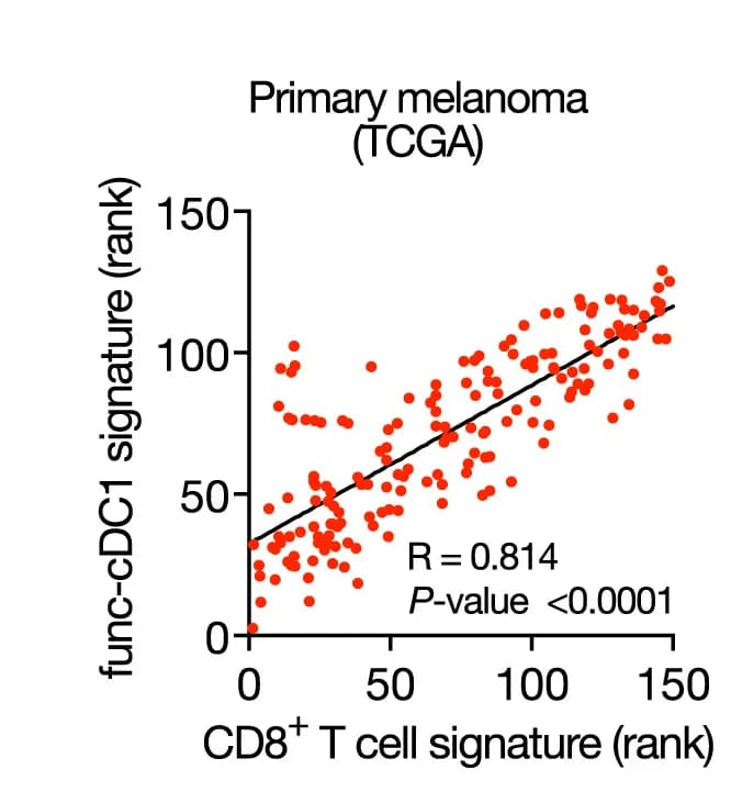 Open access visualization of Scatter Plot, Regression Plot, Prognostic Value, Functional cDC1, Gene Signature