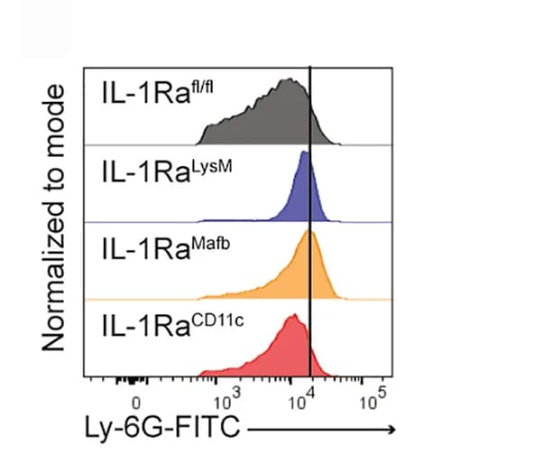 Open access visualization of Density Plot, Ly-6G fluorescence, Neutrophils