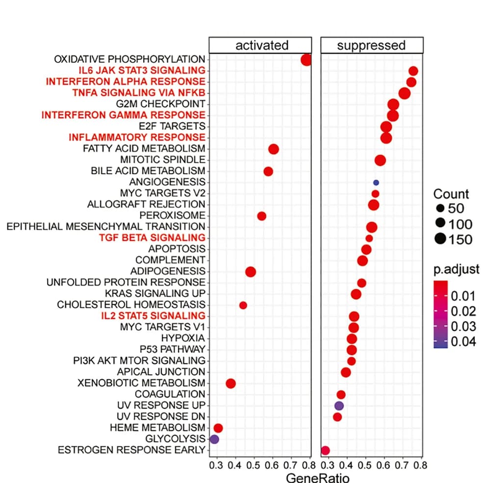 Open access visualization of Scatter Plot, Volcano Plot, GSE Analysis, MSigDB Hallmark Pathways, Kidney