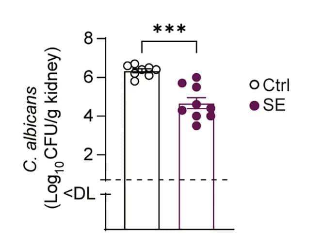 Open access visualization of Bar Plot, Error Bars, Scatter Plot, Splenectomized mice, Control mice