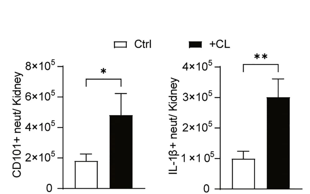 Open access visualization of Bar Plot, Error Bars, Clodronate liposomes, Control mice, Day 3 p.i.
