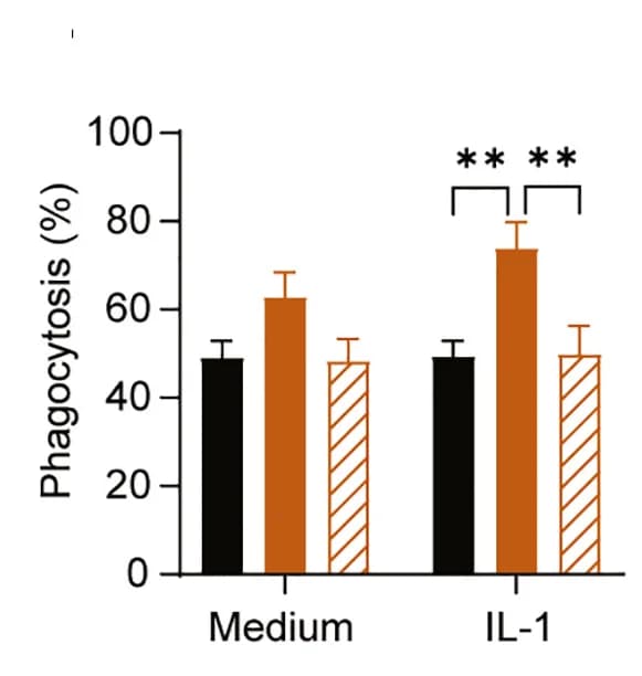 Open access visualization of Bar Plot, Error Bars, Peritoneal infiltrates, IL-1Ra-reconstituted, Zymosan