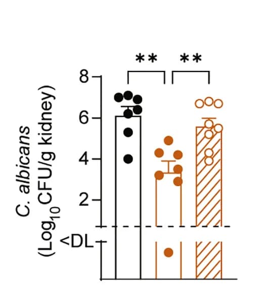 Open access visualization of Bar Plot, Error Bars, IL-1Ra-reconstituted, Fungal Titers, Kidney