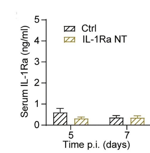 Open access visualization of Bar Plot, Error Bars, Clustered, Therapeutic IL-1Ra Neutralization, Candida-infected