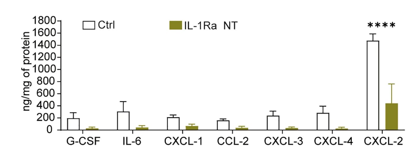 Open access visualization of Bar Plot, Error Bars, Clustered, Inflammatory Profiles, Kidneys