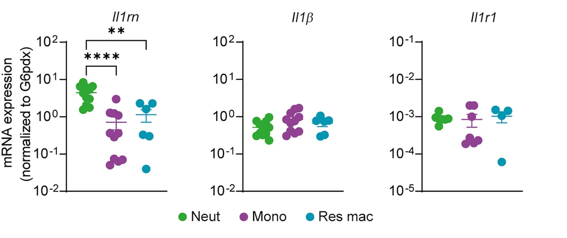 Open access visualization of Scatter Plot, Error Bars, mRNA expression, IL-1 family genes, Cell subsets