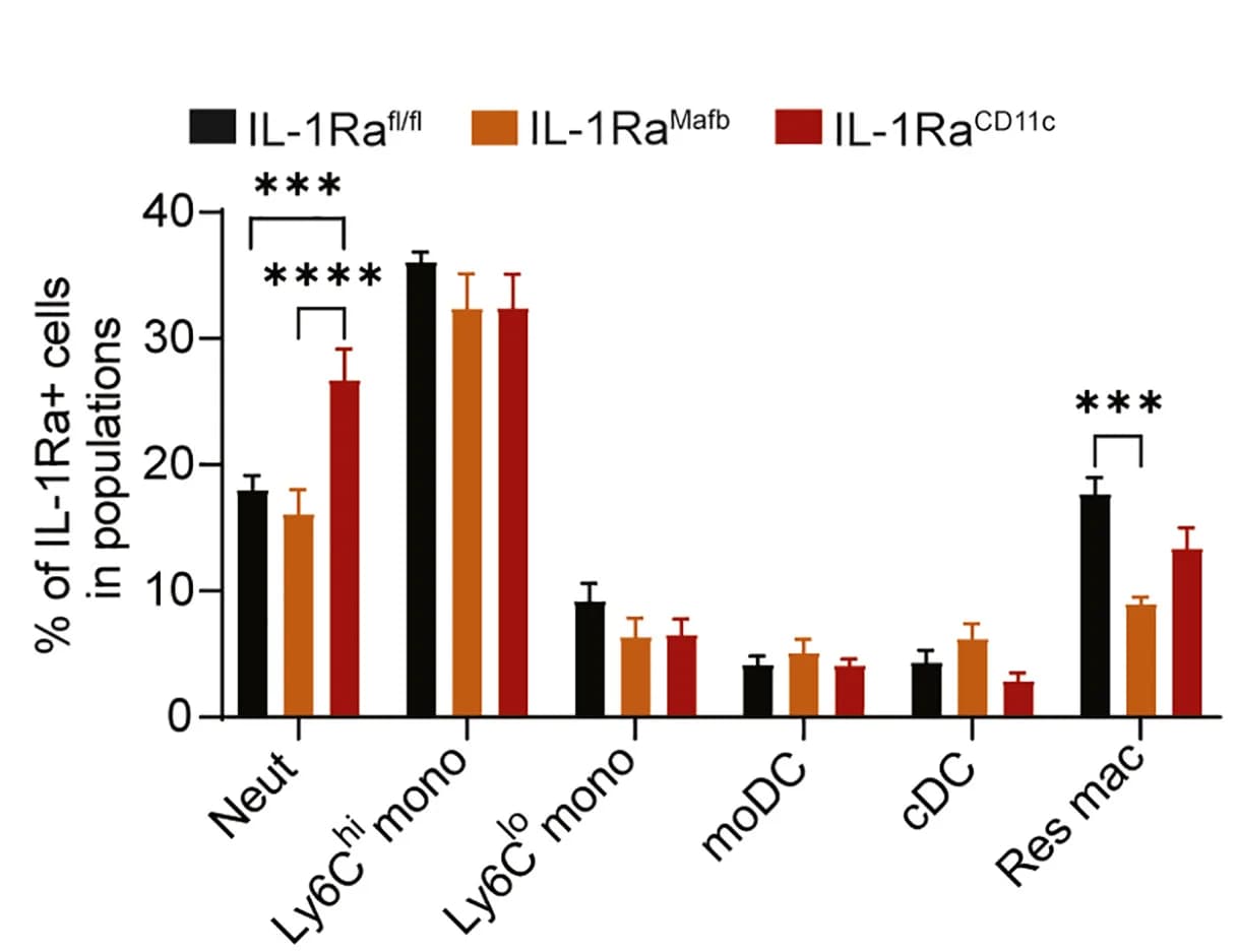 Open access visualization of Bar Plot, Error Bars, Clustered, IL-1Ra mRNA, Immune cell subsets