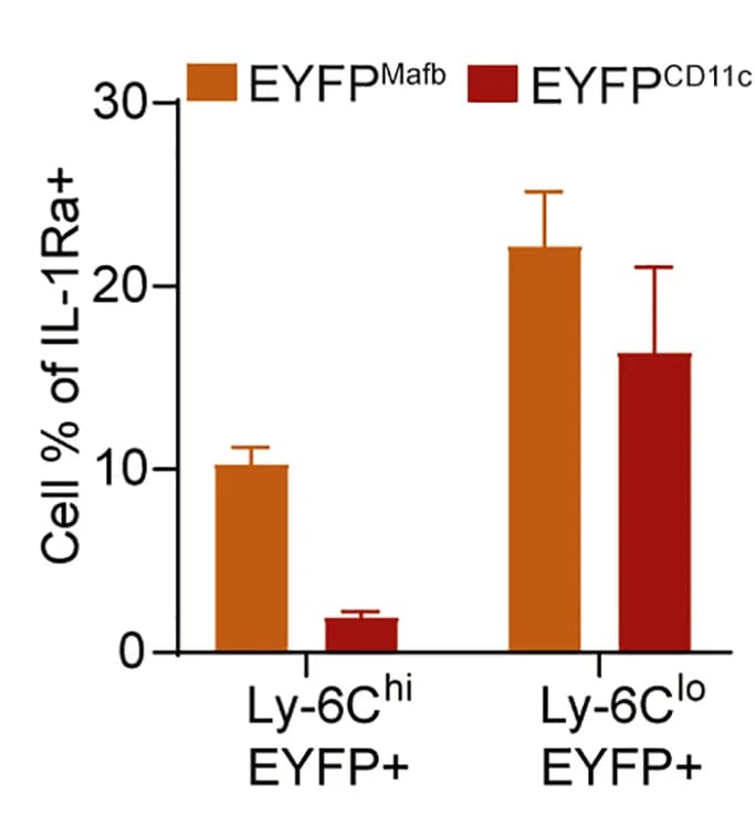 Open access visualization of Bar Plot, Error Bars, Clustered, EYFP expression, IL-1Ra mRNA
