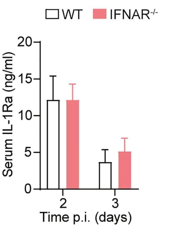 Open access visualization of Bar Plot, Error Bars, Clustered, IFNAR−/− mice, IL-1Ra expression