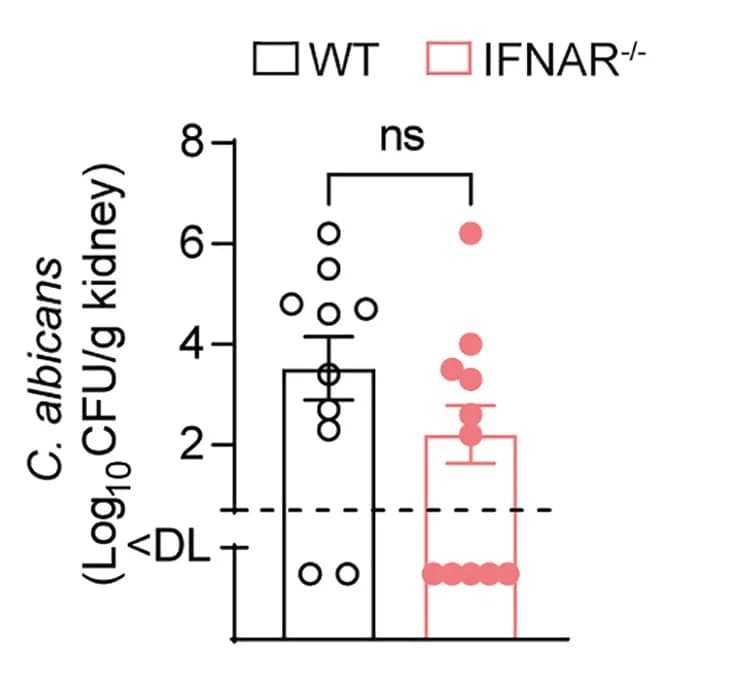 Open access visualization of Error Bars, Bar Plot, Scatter Plot, IFNAR−/− mice, IL-1Ra expression