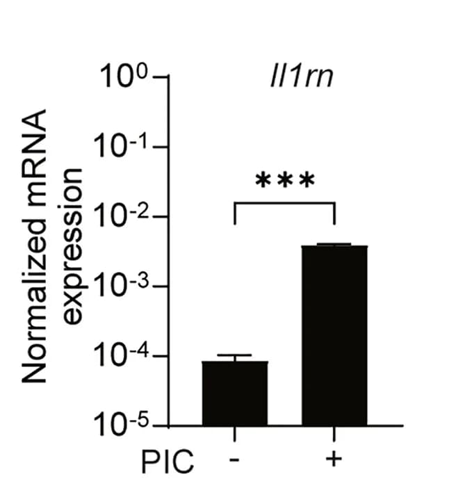 Open access visualization of Bar Plot, Error Bars, In Vivo, IL-1Ra, Type I IFN
