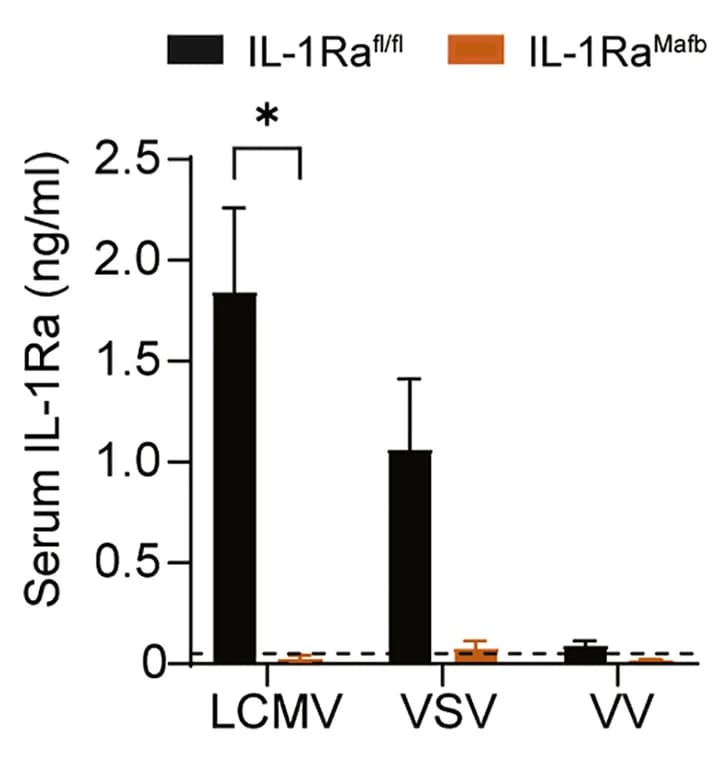 Open access visualization of Bar Plot, Error Bars, Clustered, Serum, IL-1Ra