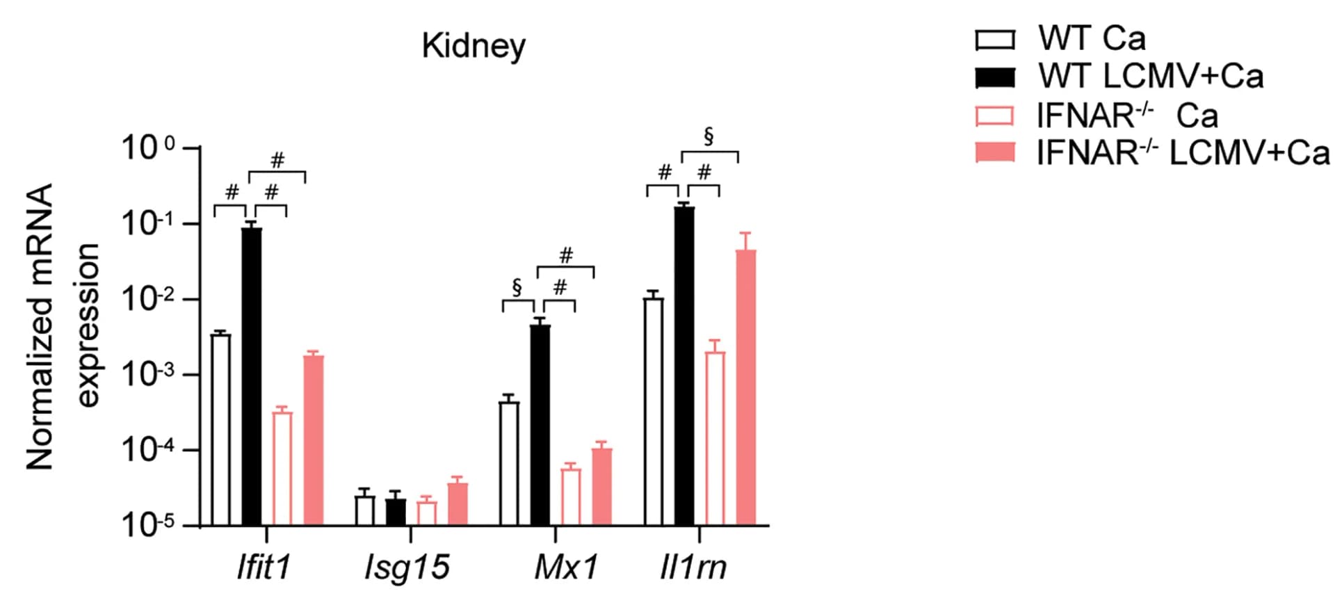 Open access visualization of Bar Plot, Error Bars, Clustered, mRNA Expression, IFN-Stimulated Genes