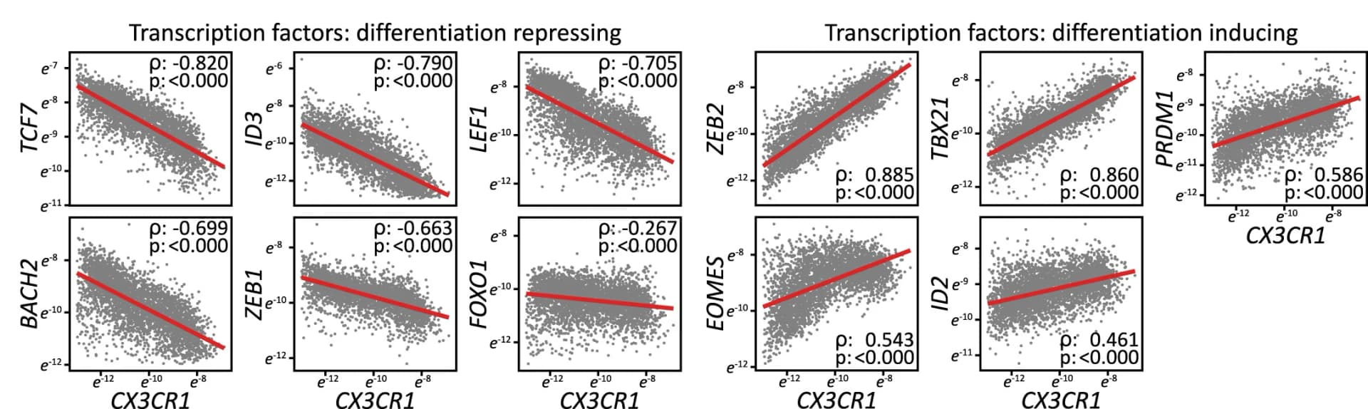 Open access visualization of Scatter Plot, Regression Plot, CX3CR1, Transcription Factors, Spearman Correlation