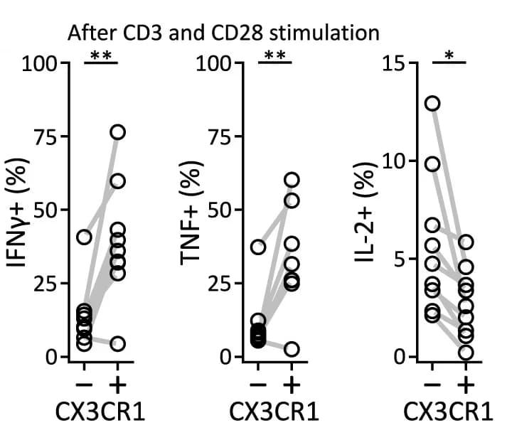 Open access visualization of Line Plot, Cytokines, Ex Vivo Stimulation, CD3, CD28