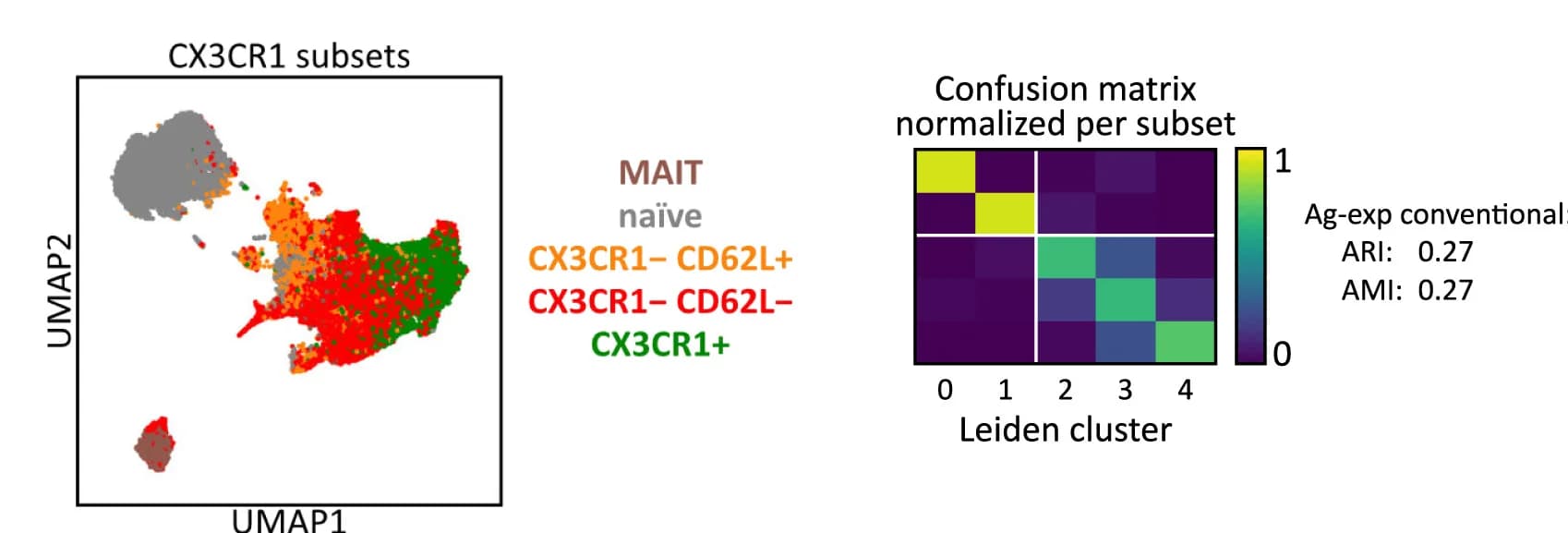 Open access visualization of UMAP, Heatmap, CD8+ T Cells, Clustering, CX3CR1