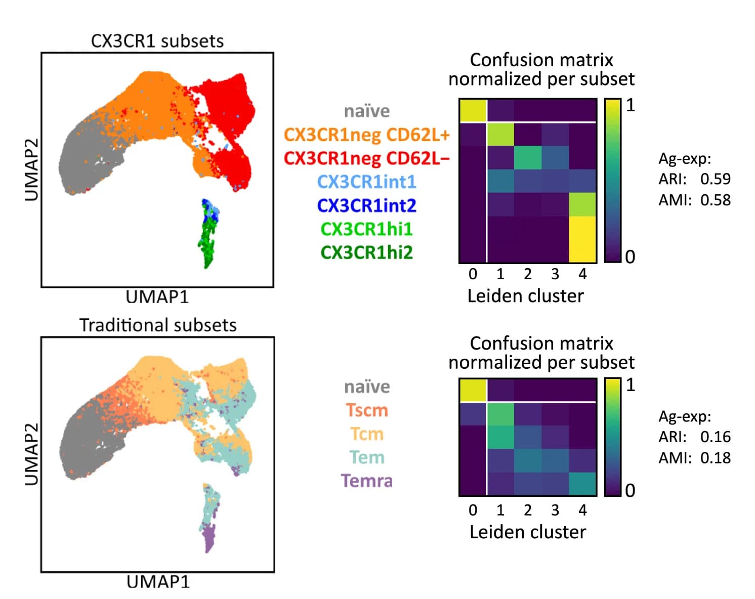 Open access visualization of UMAP, Heatmap, CD4+T Cells, Clustering, Two-Dimensional Gating