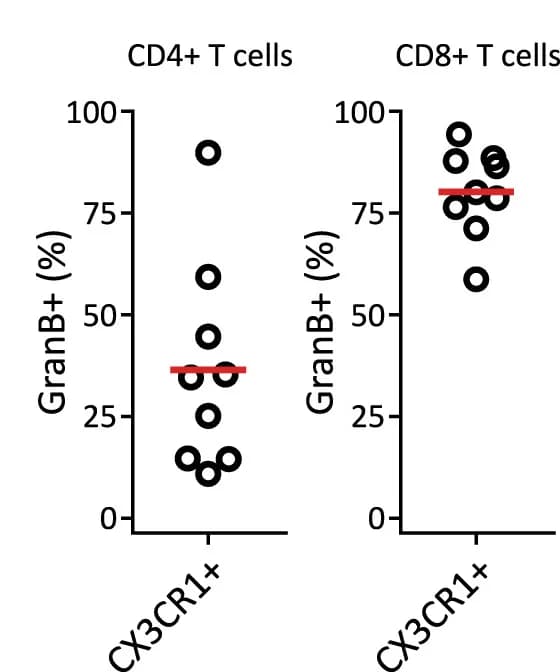 Open access visualization of Scatter Plot, GranB+, CX3CR1+, Antigen-Experienced, CD4+T Cells