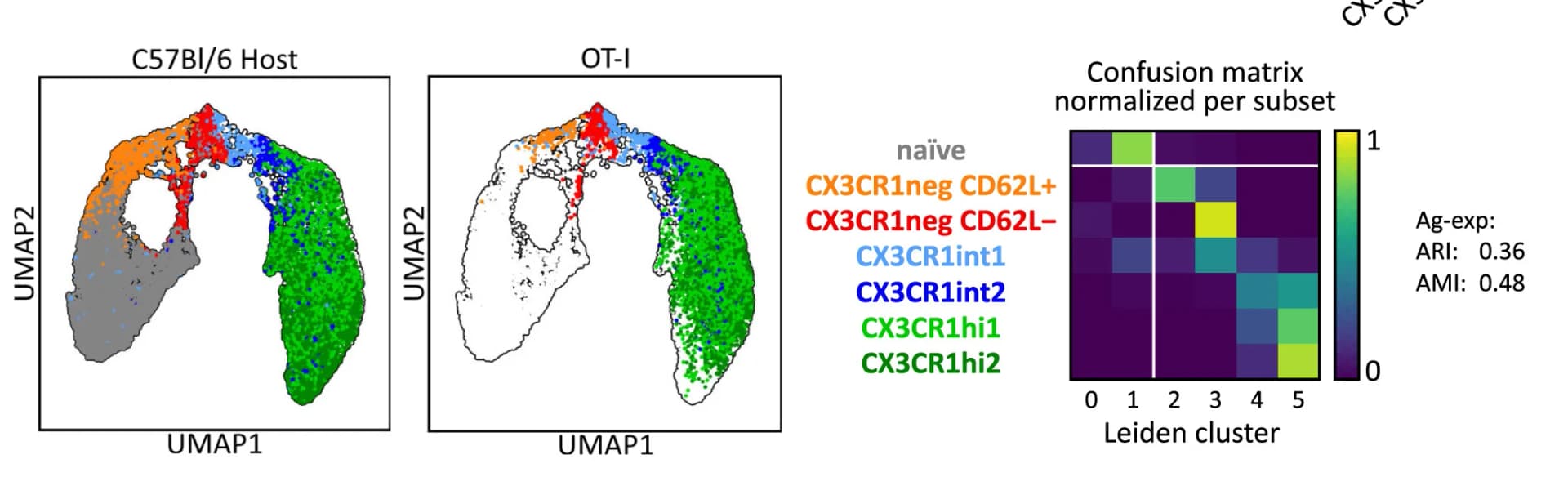Open access visualization of UMAP, Heatmap, Similarity, CD8+ T Cells, Clustering