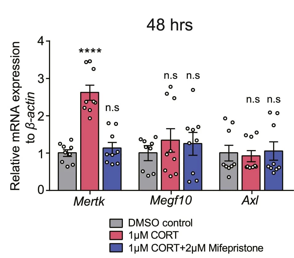 Open access visualization of Bar Plot, Error Bars, Clustered, Scatter Plot, Quantitative PCR