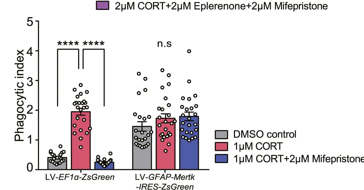 Open access visualization of Bar Plot, Error Bars, Scatter Plot, Bar Graph, Phagocytic Index