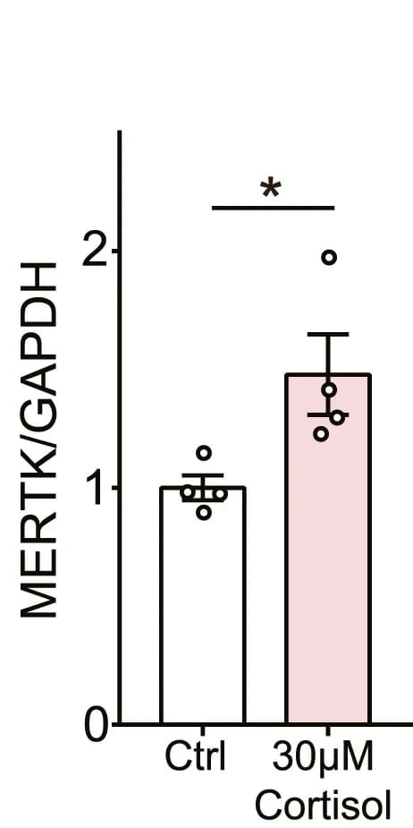 Open access visualization of Bar Plot, Error Bars, Bar Graphs, MERTK, Control
